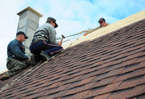 Best Best Roofing Contractors  in Eureka Springs, AR